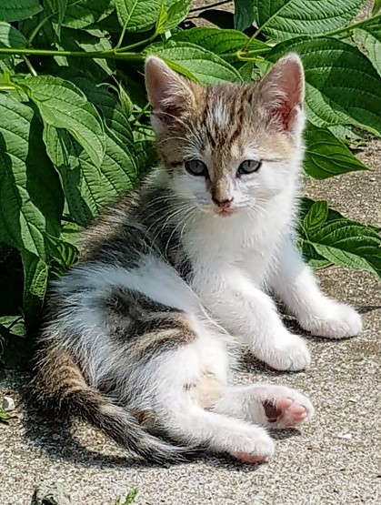 Eclaire née le 7 mai 2018 20180710