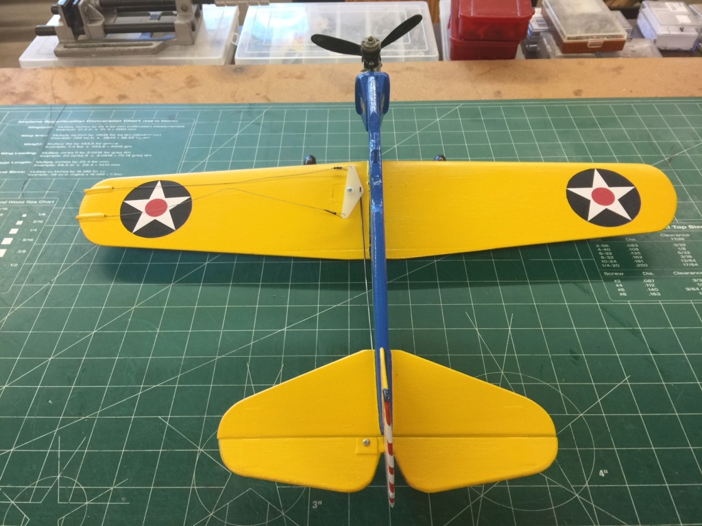 My PT-19 Entry for The Official "International Cox PT-19 Fly It If You Got It Day!" 2018-034