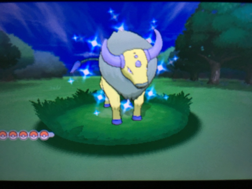 Les Shiney de Kanzelra Tauros10