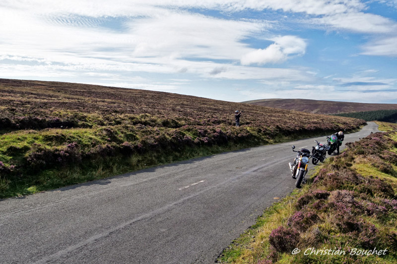 ROAD - [Road racing] Classic TT/ Manx GP 2019  - Page 27 20192084