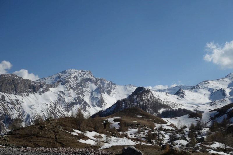 Les Hautes-Alpes en avril Dsc00313
