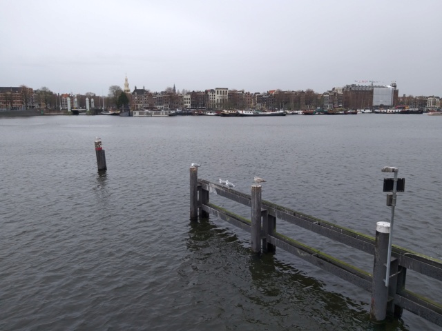 Амстердам и возможно, Роттердам и Гаага - Страница 3 20190124