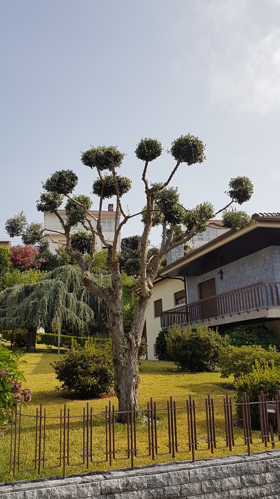 Portugal - Jardins région de Guimaraes 20180300