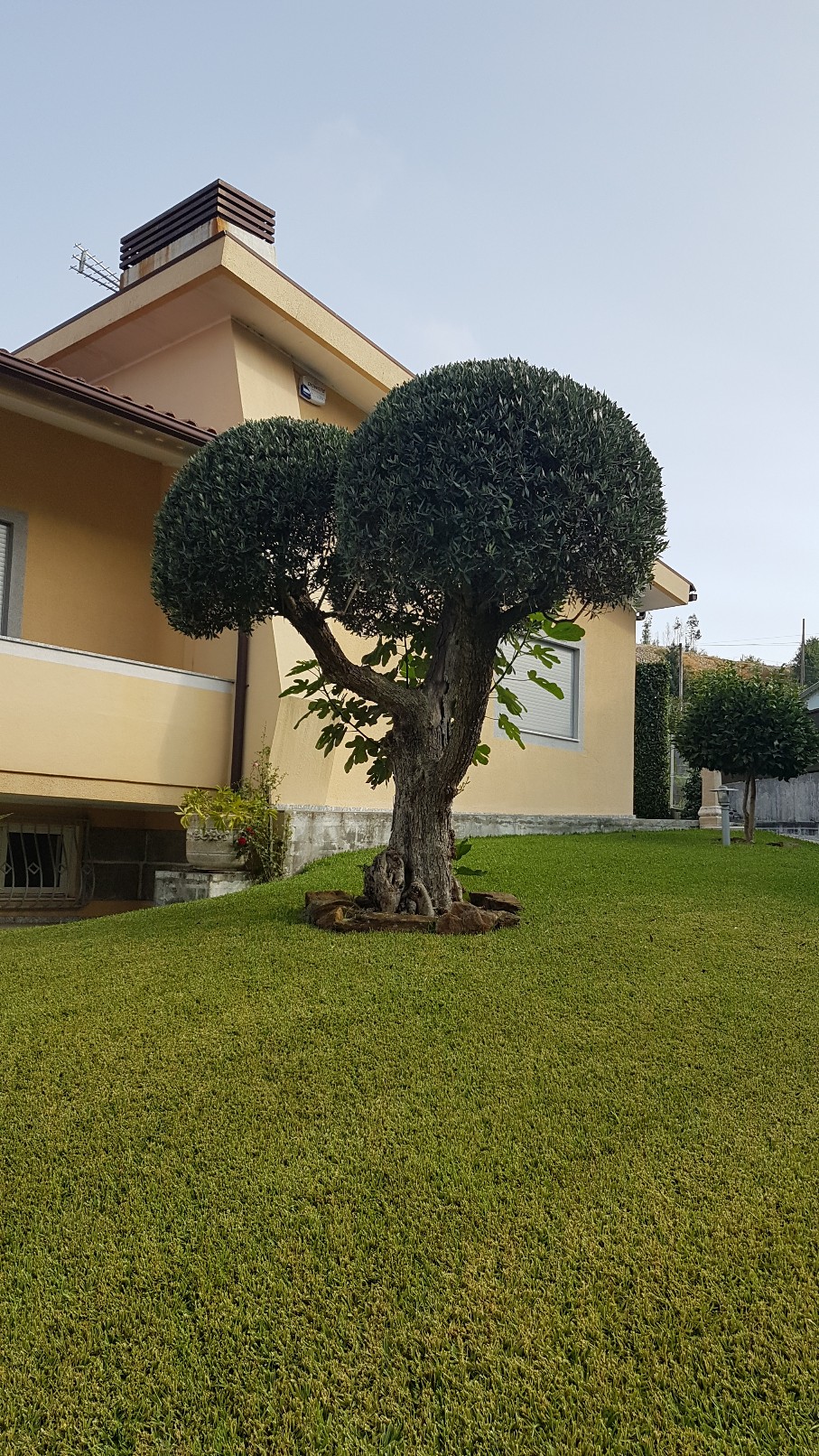 Portugal - Jardins région de Guimaraes 20180302
