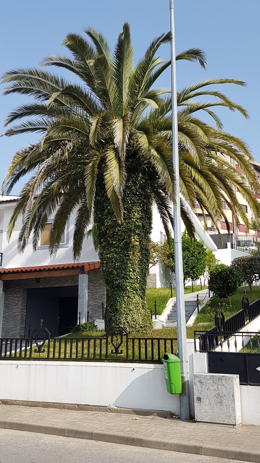 Portugal - Jardins région de Guimaraes 20180303