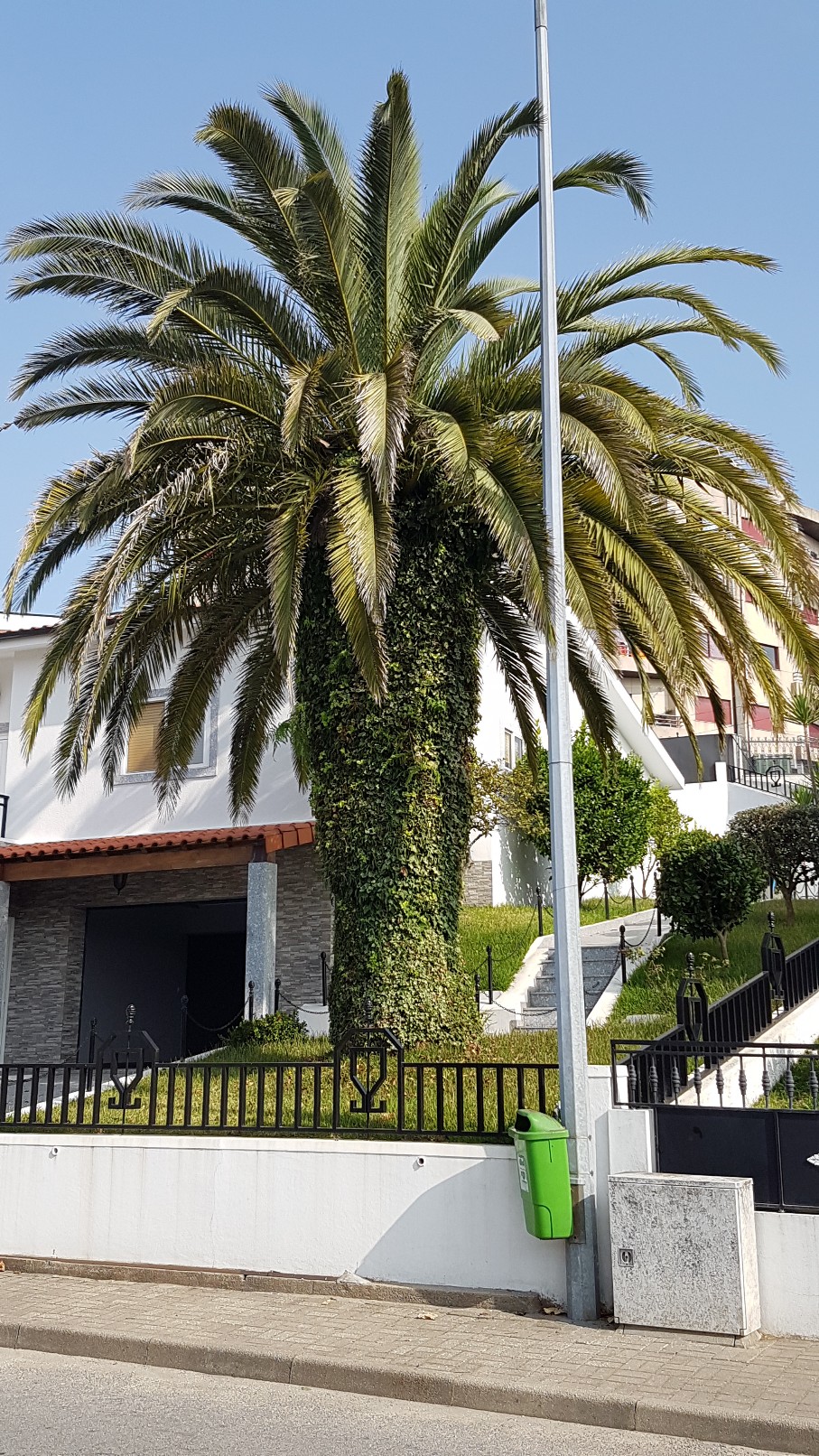 Portugal - Jardins région de Guimaraes  20180303