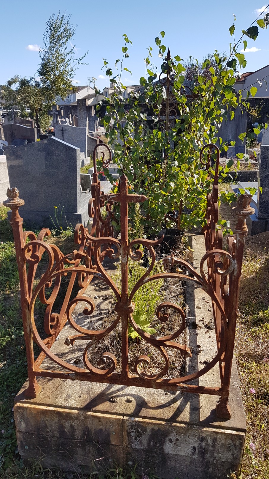 Au pied de mon arbre ... - Les cimetières pleins de vie 20180364