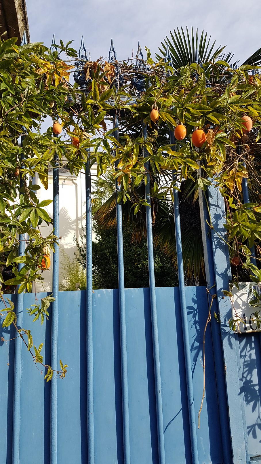 Village jardin exotique de Trentemoult (44) 20181079