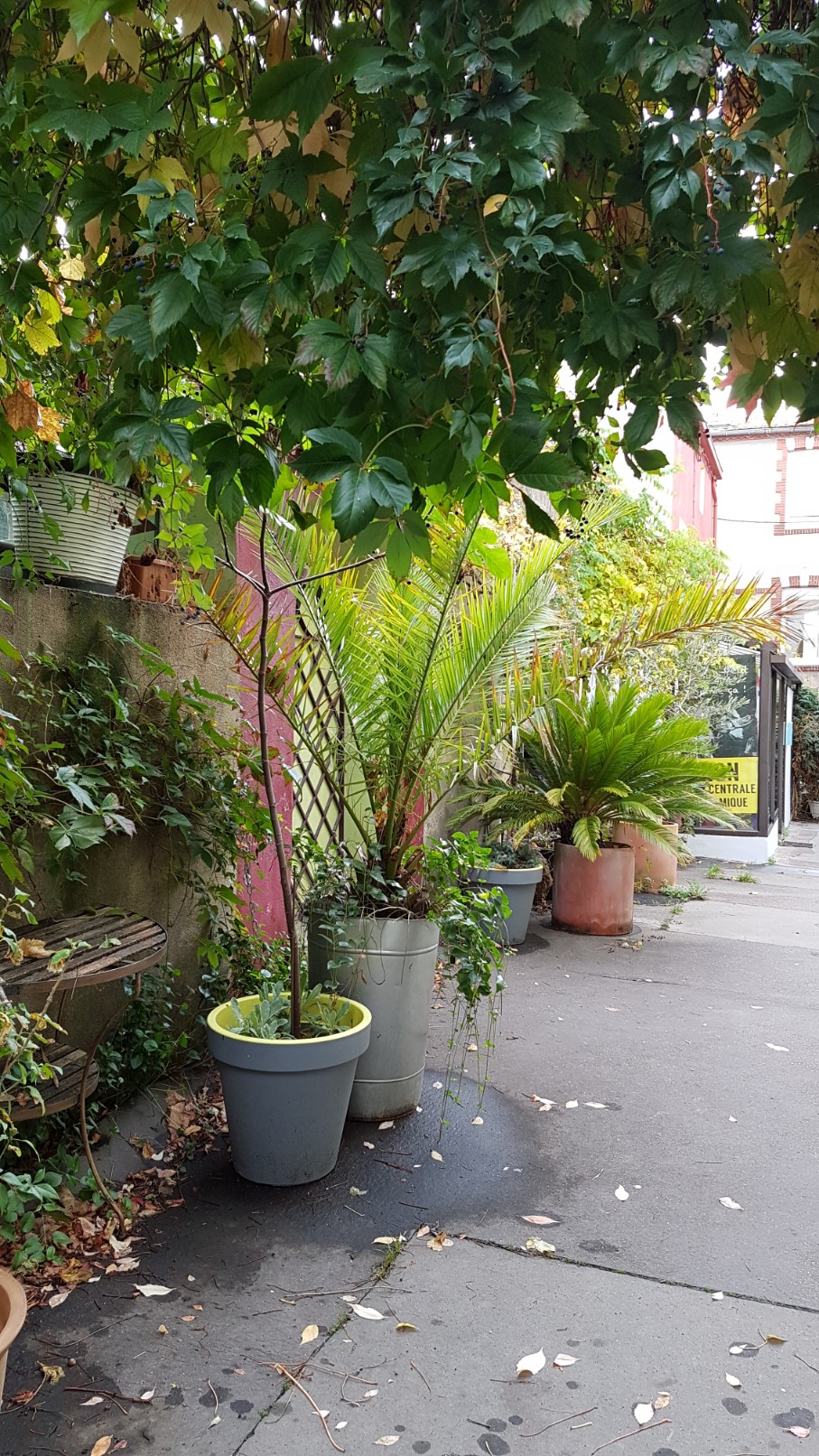 Village jardin exotique de Trentemoult (44) 20181080