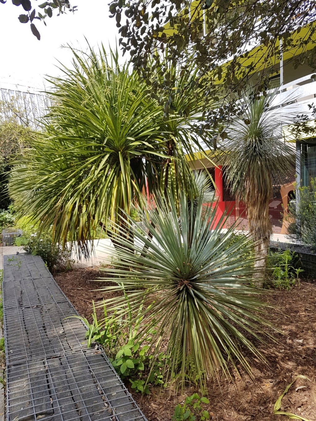 (44) On dirait le Sud - Quartier Champs de Mars - Madeleine (Nantes) 20190505