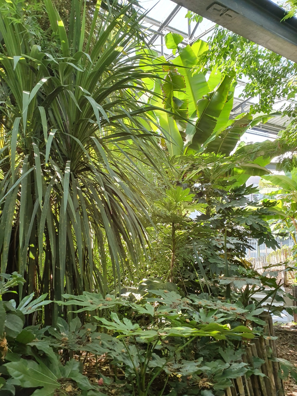 (44) Jardin de la Fonderie - Nantes 20190983