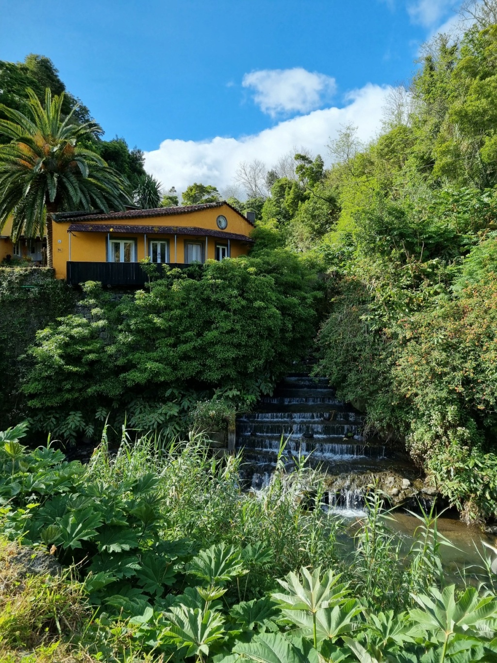 Portugal - Archipel des Açores - Ilha de São Miguel - Page 5 20220171