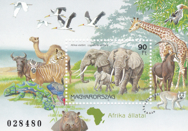Verschiedene Tiere Afrikas Img_2211