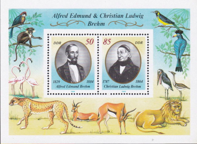 Alfred Edmund Brehm und Christian Ludwig Brehm.  Img_2298