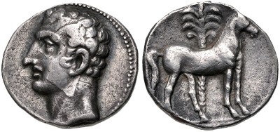 Hispano-cartaginesas. Shekel. Cabeza masculina a izquierda/ Caballo en pie a derecha, detrás palmera con frutos. Emisiones de cabeza masculina i caballo en pie. Segunda mitad s. III ac. ACIP 603 R2 33345213