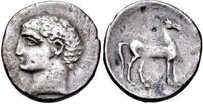 Hispano-cartaginesas. 1/2 shekel. Cabeza masculina grande a izquierda/ Caballo en pie a derecha, detrás palmera con frutos. Emisiones de cabeza masculina i caballo en pie. Segunda mitad s. III ac. ACIP 607 R5 40399710