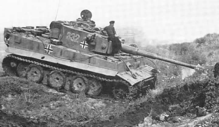 Tiger S.Pz.Abt 503 Ukraine 1943  - quelle couleur ? 6c6bc710