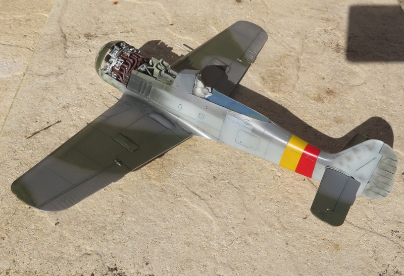 Focke Wulf Fw 190A-8 JG.301 3 rouge [Revell 1/32] Img_2653
