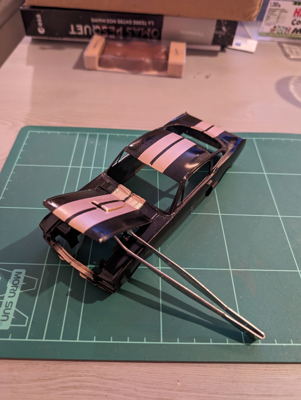 1:24 Shelby Mustang GT 350 H Revell - FINI - Page 9 Pxl_2066
