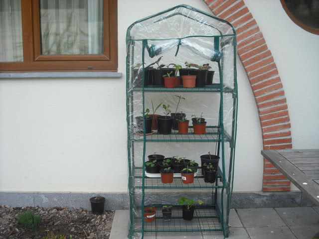 Como protegemos las plantas en el invierno 156quz10