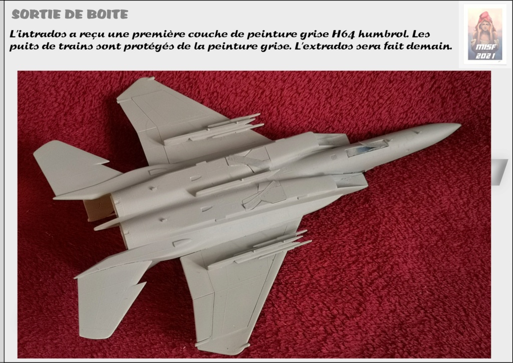 * 1/72  From the box - MC DONNELL DOUGLAS F15 EAGLE - AIRFIX  - Page 2 F15_0030