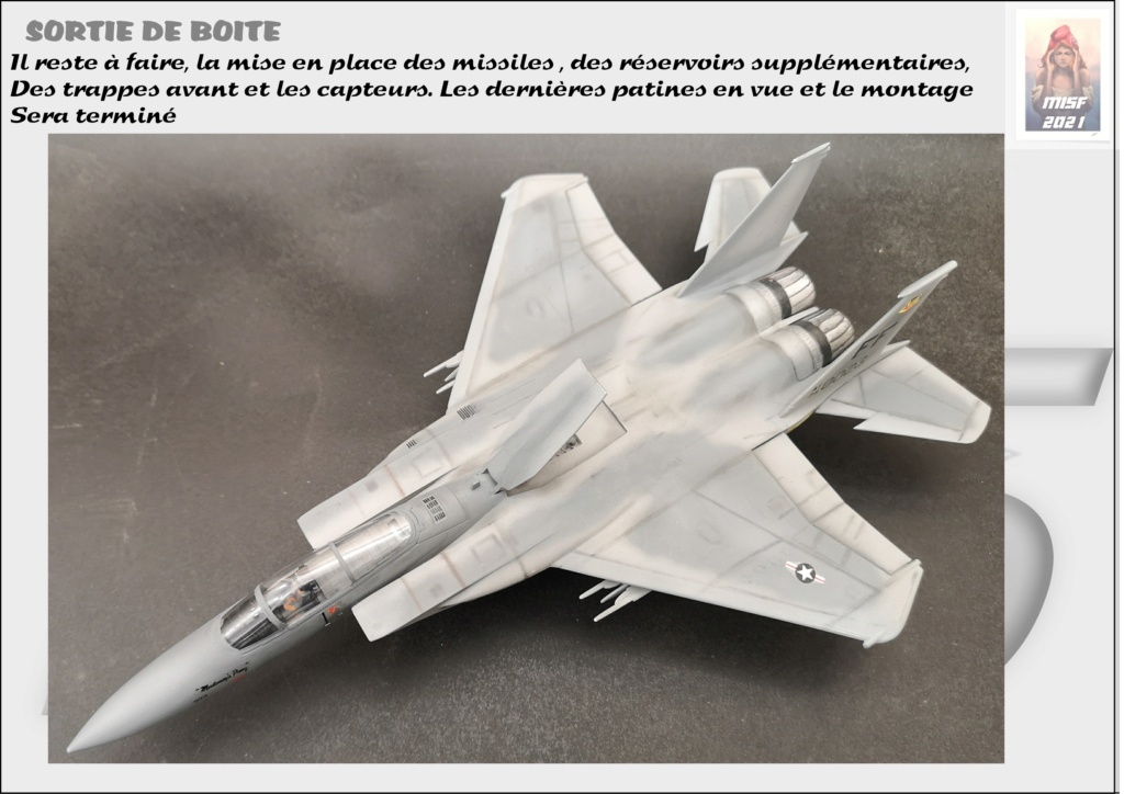 * 1/72  From the box - MC DONNELL DOUGLAS F15 EAGLE - AIRFIX  - Page 5 F15_0058