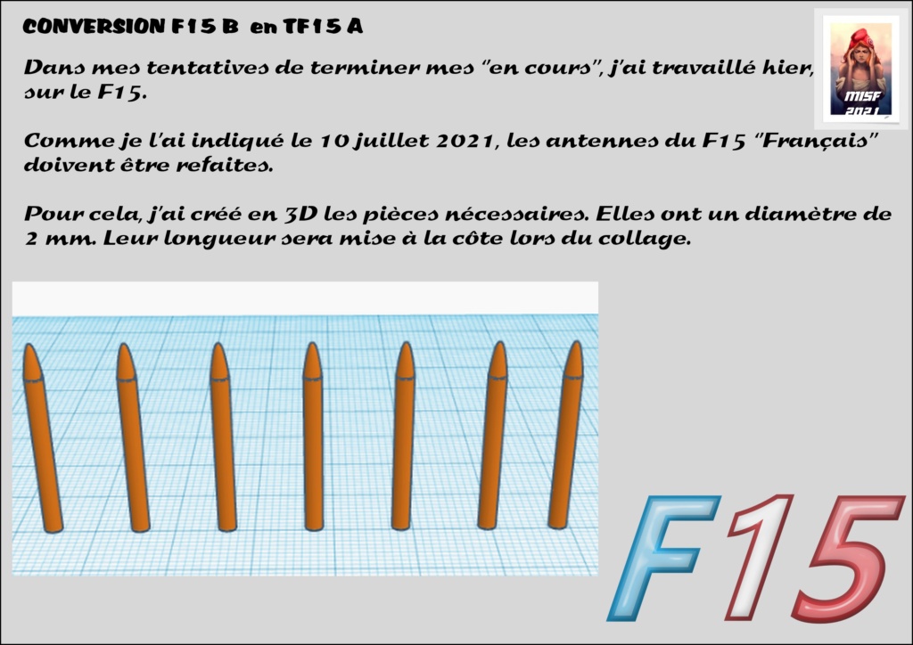 1/72 MCDONNELL DOUGLAS TF15-A (CONVERSION F15 B HELLER) 1/72 (Fini page 4) - Page 3 F15_fr35