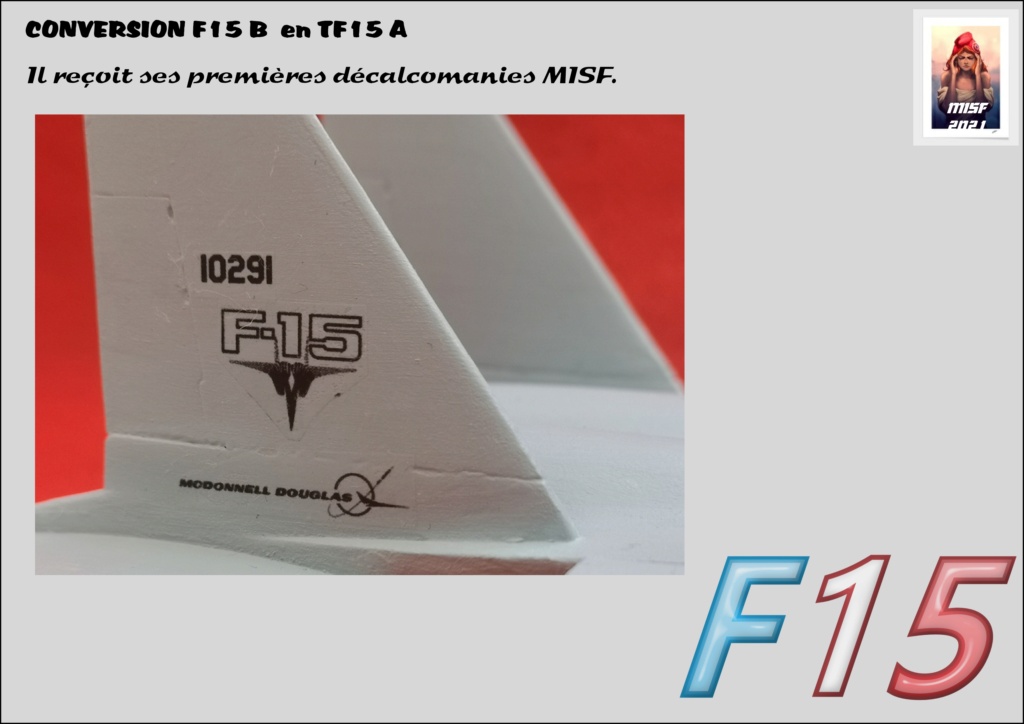 1/72 MCDONNELL DOUGLAS TF15-A (CONVERSION F15 B HELLER) 1/72 (Fini page 4) - Page 3 F15_fr39