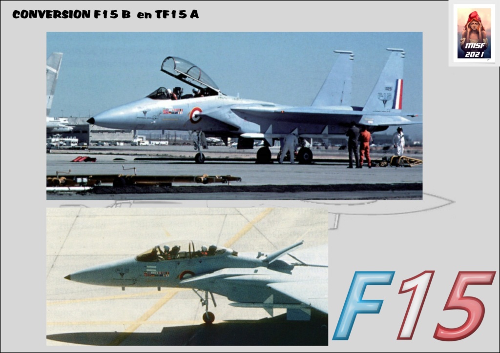 McDONNELL DOUGLAS F15 conversion F 15 B en TF15A  Réf 80336 F15_fr48