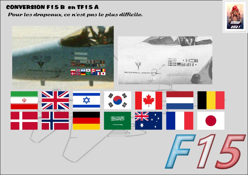 McDONNELL DOUGLAS F15 conversion F 15 B en TF15A  Réf 80336 F15_fr50