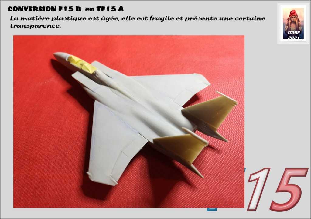 McDONNELL DOUGLAS F15 conversion F 15 B en TF15A  Réf 80336 - Page 2 F15_fr60