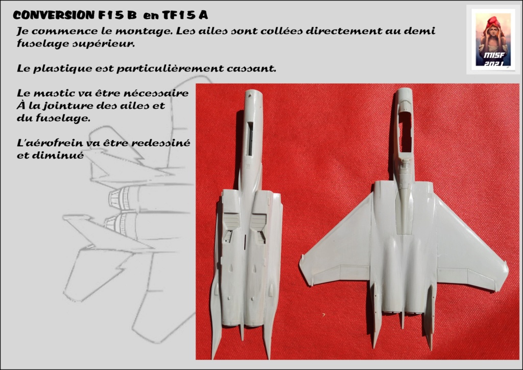 McDONNELL DOUGLAS F15 conversion F 15 B en TF15A  Réf 80336 - Page 2 F15_fr61