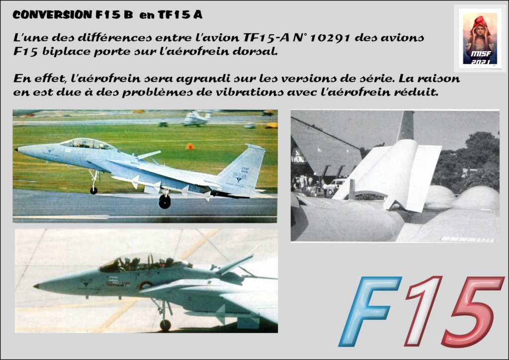 McDONNELL DOUGLAS F15 conversion F 15 B en TF15A  Réf 80336 - Page 2 F15_fr79