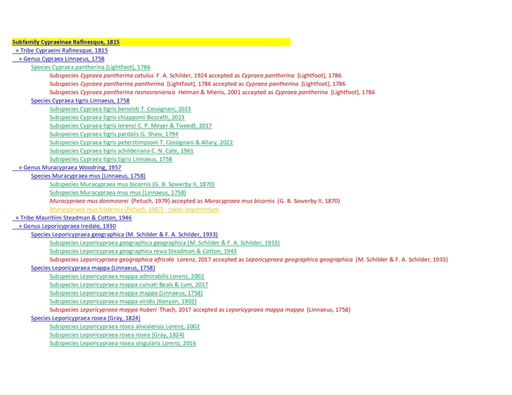 Listing cypraeidae valides Juillet 2023 Cyprae13