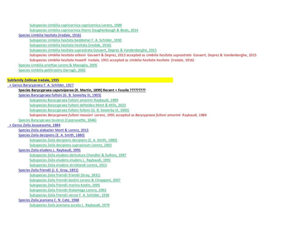 Listing cypraeidae valides Juillet 2023 Cyprae30