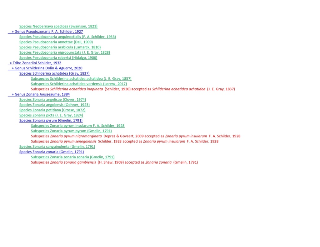 Listing cypraeidae valides Juillet 2023 Cyprae32