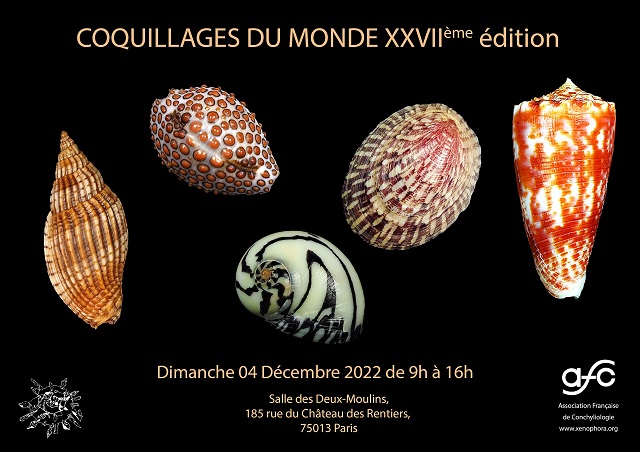 27ème Mini-Bourse Paris - 04/12/2022 Mini_b10