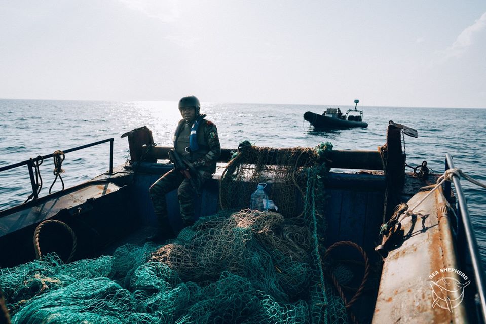 Quatre chalutiers arrêtés par Sea Shepherd dans les eaux protégées du Bénin ! A11