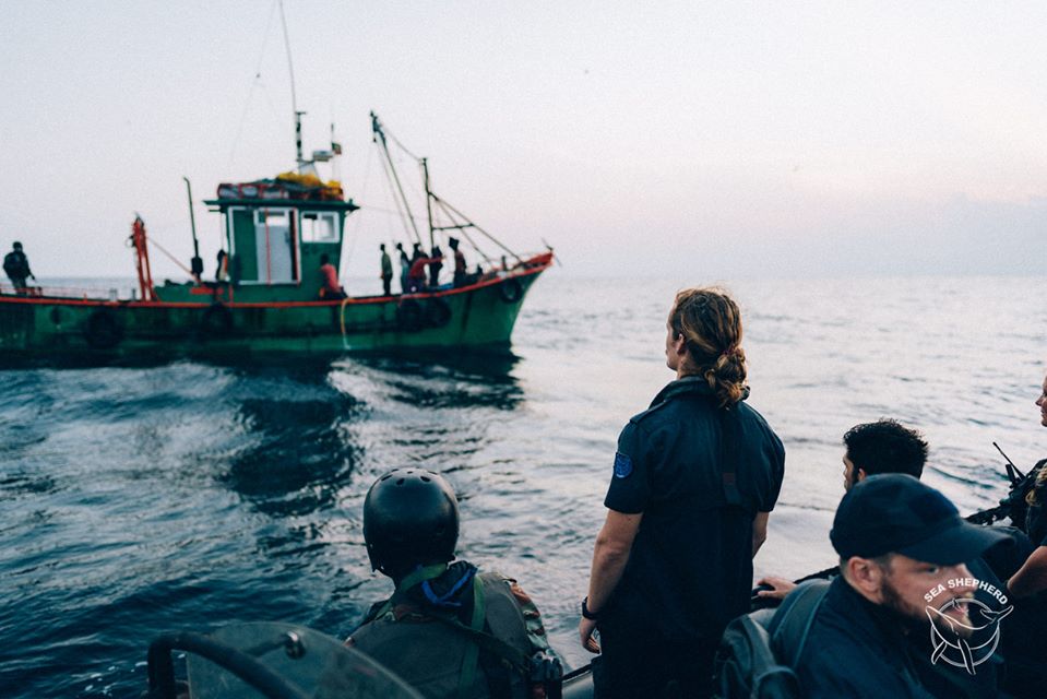 Quatre chalutiers arrêtés par Sea Shepherd dans les eaux protégées du Bénin ! B11