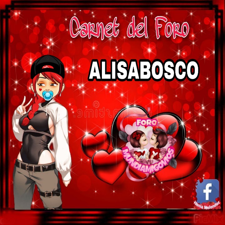 Carnet de Alisabosco Picsar93