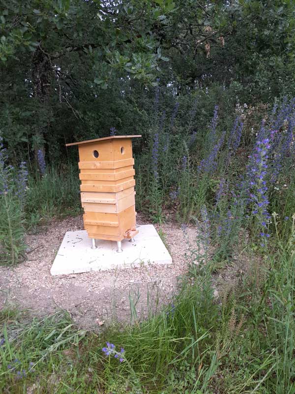 Apiculture écologique  20210610