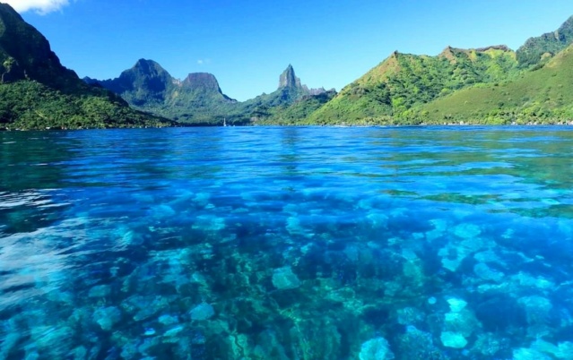 Informations sur les vacances à Tahiti et en Polynési 52903f10