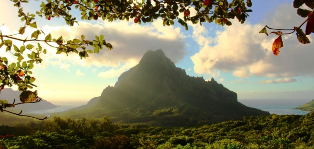 Informations sur les vacances à Tahiti et en Polynési Img_4210