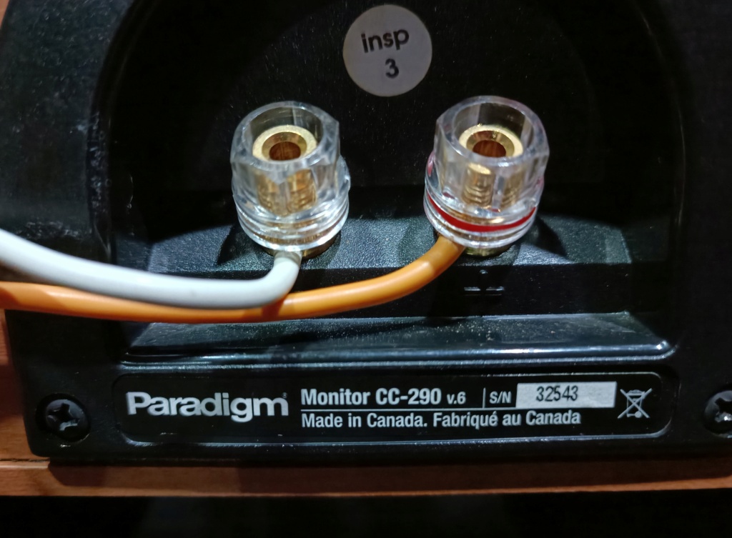Paradigm monitor cc-290 v.6(used) Img_2217