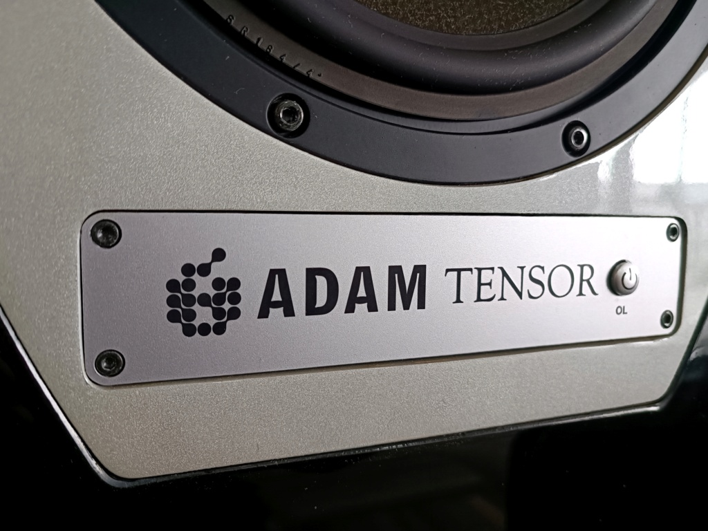 Adam Tensor Gamma semi-active floorstander(sold) Img_2319