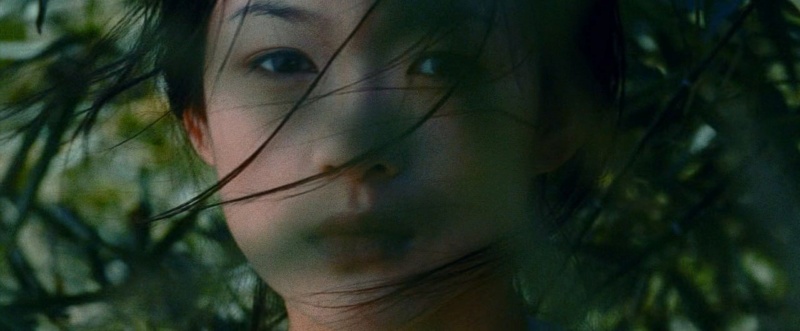 Крадущийся тигр, затаившийся дракон / Wo hu cang long, 2000  Режиссер / Ang Lee Photo_30