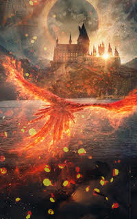 Mischief Managed Mm10
