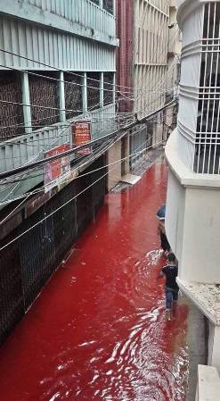 L'eau de pluie et le sang des animaux assassinés .... 14333010