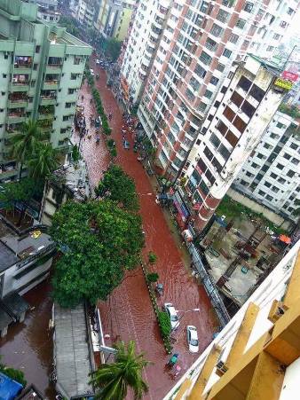 L'eau de pluie et le sang des animaux assassinés .... 14333610