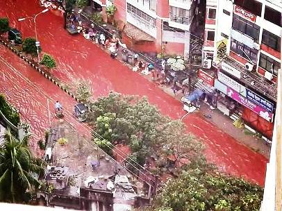 L'eau de pluie et le sang des animaux assassinés .... 14355510